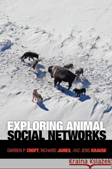 Exploring Animal Social Networks  9780691127521 Princeton University Press