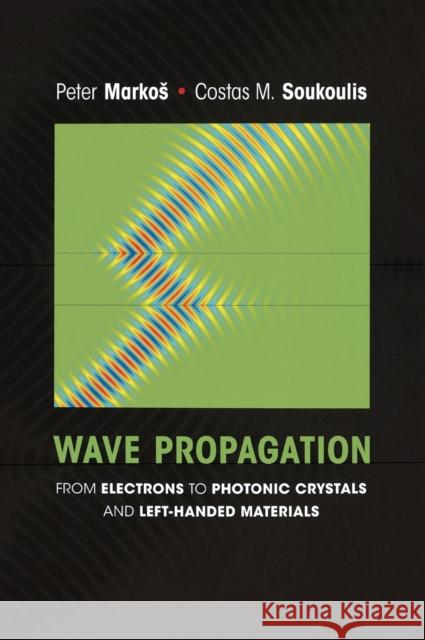 Wave Propagation: From Electrons to Photonic Crystals and Left-Handed Materials Markos, Peter 9780691130033 Princeton University Press