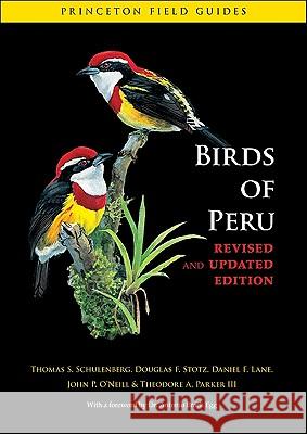 Birds of Peru Thomas S. Schulenberg Douglas F. Stotz Daniel F. Lane 9780691130231 Princeton University Press