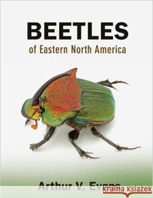 Beetles of Eastern North America Evans, Arthur V 9780691133041