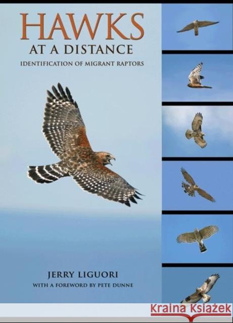 Hawks at a Distance: Identification of Migrant Raptors Liguori, Jerry 9780691135595 Princeton University Press