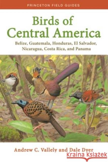 Birds of Central America: Belize, Guatemala, Honduras, El Salvador, Nicaragua, Costa Rica, and Panama Vallely, Andrew 9780691138022 Princeton University Press