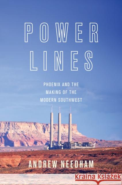 Power Lines: Phoenix and the Making of the Modern Southwest Needham, Andrew 9780691139067