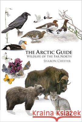 The Arctic Guide: Wildlife of the Far North Chester, Sharon 9780691139753 John Wiley & Sons