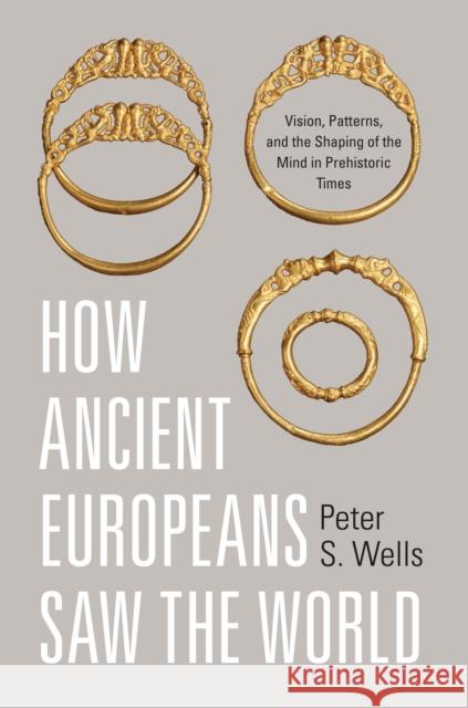 How Ancient Europeans Saw the World: Vision, Patterns, and the Shaping of the Mind in Prehistoric Times Peter Wells 9780691143385