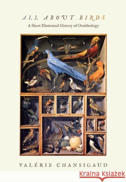 All about Birds: A Short Illustrated History of Ornithology Valerie Chansigaud 9780691145198 Princeton University Press