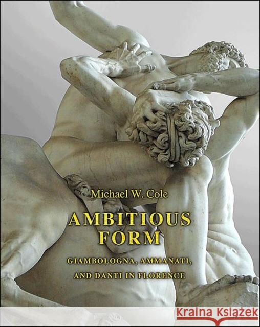 Ambitious Form: Giambologna, Ammanati, and Danti in Florence Cole, Michael W. 9780691147444 0