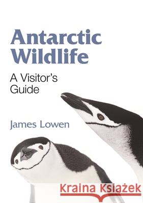 Antarctic Wildlife: A Visitor's Guide Lowen, James 9780691150338 Princeton University Press