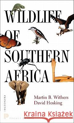 Wildlife of Southern Africa Martin B. Withers David Hosking 9780691150635 Princeton University Press