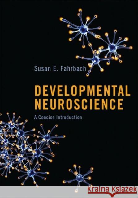 Developmental Neuroscience: A Concise Introduction Fahrbach, Susan E. 9780691150987 0