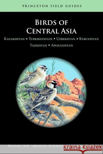 Birds of Central Asia: Kazakhstan, Turkmenistan, Uzbekistan, Kyrgyzstan, Tajikistan, and Afghanistan Ayé, Raffael 9780691153377 Princeton University Press