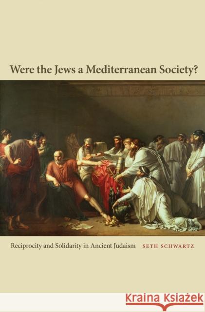 Were the Jews a Mediterranean Society?: Reciprocity and Solidarity in Ancient Judaism Schwartz, Seth 9780691155432