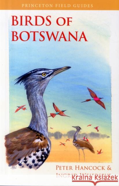 Birds of Botswana Peter Hancock Ingrid Weiersbye 9780691157177 Princeton University Press