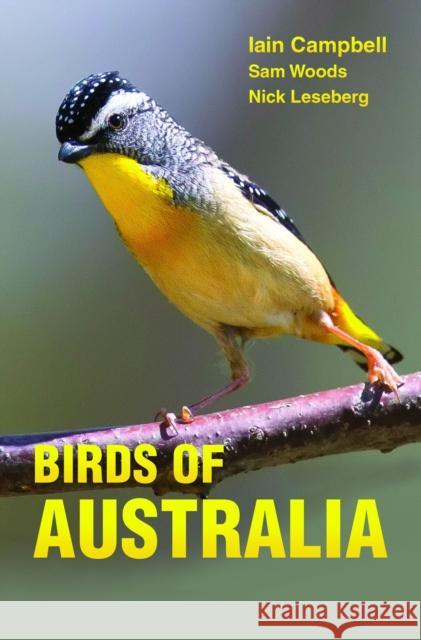 Birds of Australia: A Photographic Guide Iain Campbell Sam Woods Nick Leseberg 9780691157276 Princeton University Press