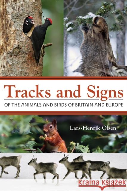 Tracks and Signs of the Animals and Birds of Britain and Europe Lars Henrik Olsen 9780691157535 Princeton University Press