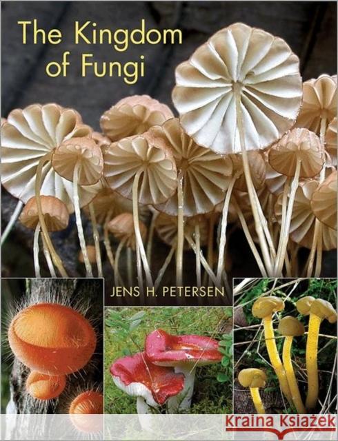 The Kingdom of Fungi Jens H Petersen 9780691157542 0