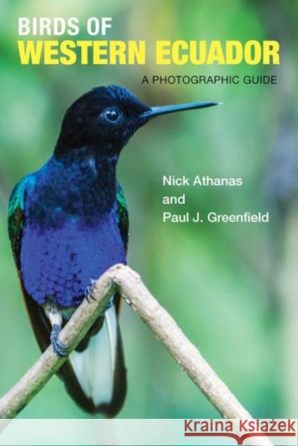 Birds of Western Ecuador: A Photographic Guide Athanas, Nick; Greenfield, Paul J.; Campbell, Iain 9780691157801