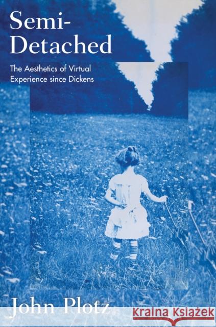 Semi-Detached: The Aesthetics of Virtual Experience Since Dickens Plotz, John 9780691159461 John Wiley & Sons