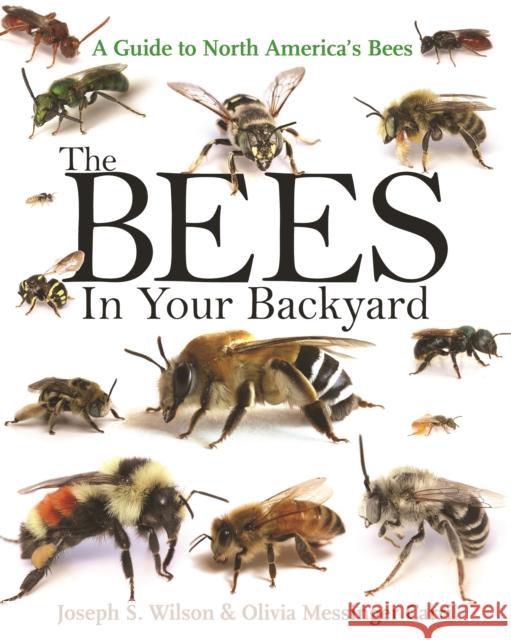 The Bees in Your Backyard: A Guide to North America's Bees Joseph Wilson Olivia Messinge 9780691160771 Princeton University Press