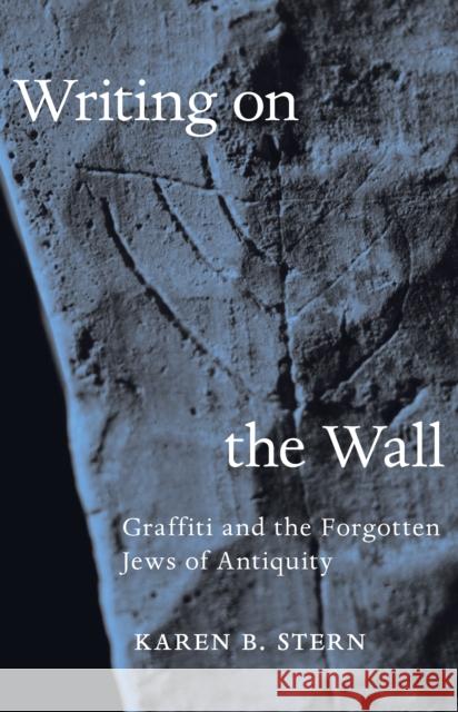 Writing on the Wall: Graffiti and the Forgotten Jews of Antiquity Karen B. Stern 9780691161334