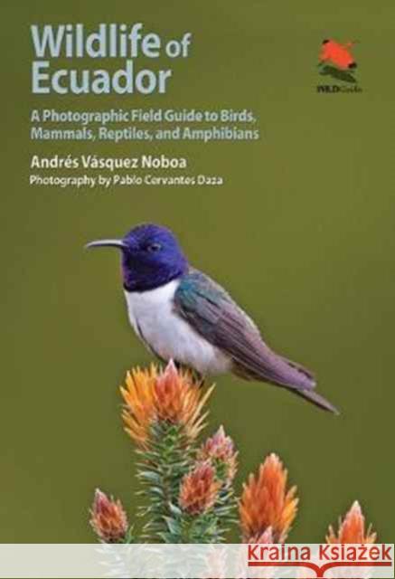 Wildlife of Ecuador: A Photographic Field Guide to Birds, Mammals, Reptiles, and Amphibians Andres Vasquez Noboa 9780691161365 Princeton University Press