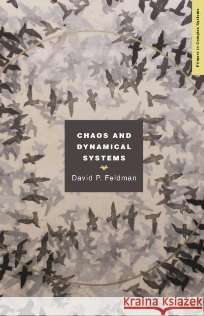 Chaos and Dynamical Systems David Feldman 9780691161525