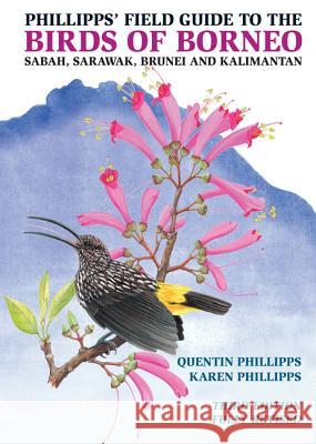 Phillipps' Field Guide to the Birds of Borneo: Sabah, Sarawak, Brunei, and Kalimantan - Fully Revised Third Edition Quentin Phillipps Karen Phillipps 9780691161679 Princeton University Press