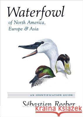 Waterfowl of North America, Europe, and Asia: An Identification Guide Reeber, Sebastien 9780691162669