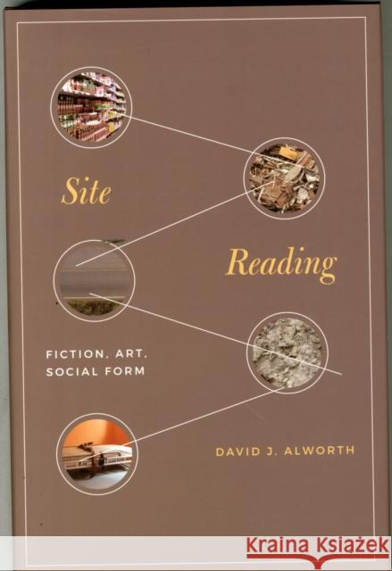 Site Reading: Fiction, Art, Social Form David J. Alworth 9780691164496 Princeton University Press