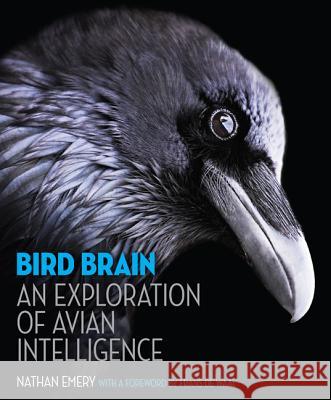 Bird Brain: An Exploration of Avian Intelligence Nathan Emery Frans d 9780691165172 Princeton University Press
