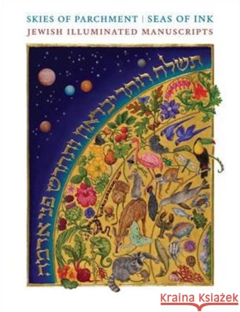 Skies of Parchment, Seas of Ink: Jewish Illuminated Manuscripts Epstein, Marc Michael 9780691165240