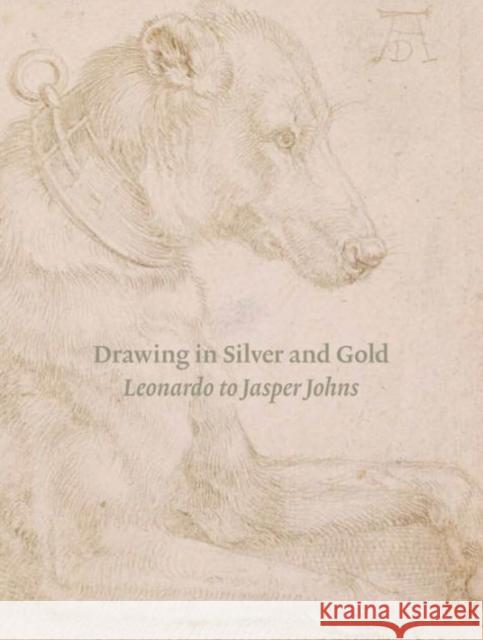 Drawing in Silver and Gold: Leonardo to Jasper Johns Sell, Stacey 9780691166124 John Wiley & Sons