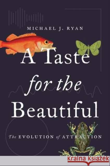 A Taste for the Beautiful: The Evolution of Attraction Ryan, Michael J. 9780691167268 John Wiley & Sons