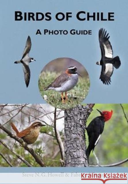 Birds of Chile: A Photo Guide Howell, Steve N. G. 9780691167398