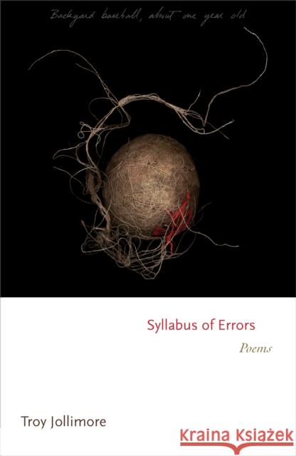 Syllabus of Errors: Poems Troy Jollimore 9780691167688 Princeton University Press
