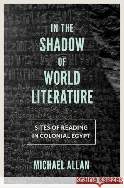 In the Shadow of World Literature: Sites of Reading in Colonial Egypt Allan, Michael 9780691167824