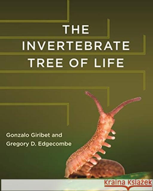 The Invertebrate Tree of Life Gonzalo Giribet Gregory D. Edgecombe 9780691170251 Princeton University Press