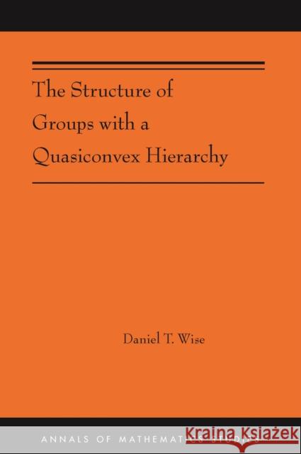 The Structure of Groups with a Quasiconvex Hierarchy: (Ams-209) Wise, Daniel T. 9780691170442 Princeton University Press