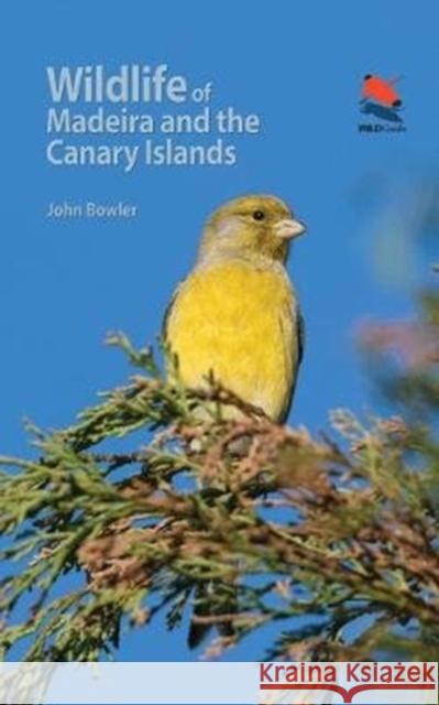 Wildlife of Madeira and the Canary Islands: A Photographic Field Guide to Birds, Mammals, Reptiles, Amphibians, Butterflies and Dragonflies Bowler, John 9780691170763