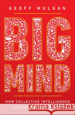 Big Mind: How Collective Intelligence Can Change Our World Mulgan, Geoff 9780691170794 John Wiley & Sons