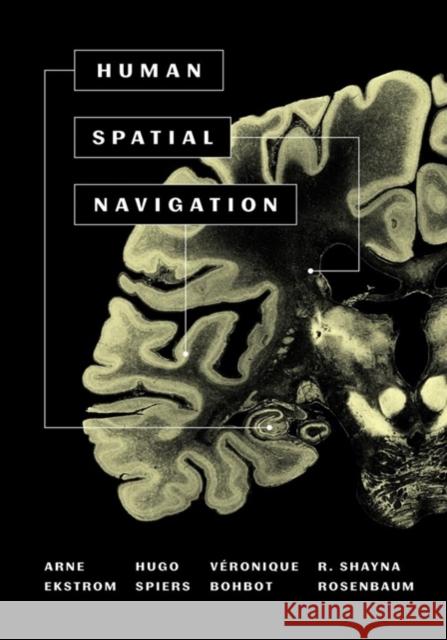 Human Spatial Navigation Arne D. Ekstrom Hugo J. Spiers Veronique D. Bohbot 9780691171746 Princeton University Press