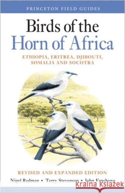 Birds of the Horn of Africa: Ethiopia, Eritrea, Djibouti, Somalia, and Socotra - Revised and Expanded Edition Nigel Redman Terry Stevenson John Fanshawe 9780691172897 Princeton University Press