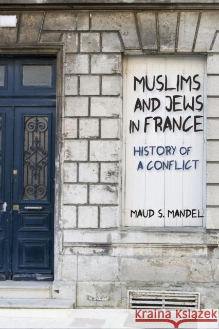 Muslims and Jews in France: History of a Conflict Mandel, Maud S. 9780691173504 John Wiley & Sons