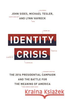 Identity Crisis: The 2016 Presidential Campaign and the Battle for the Meaning of America Sides, John 9780691174198