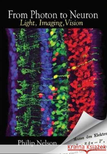 From Photon to Neuron: Light, Imaging, Vision Nelson, Philip 9780691175195 John Wiley & Sons