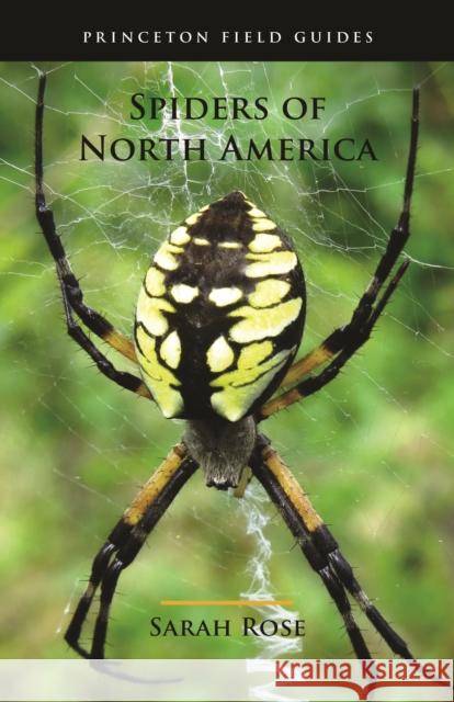 Spiders of North America Rose, Sarah 9780691175614 Princeton University Press