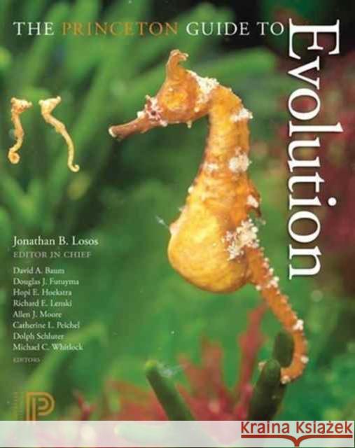 The Princeton Guide to Evolution Losos, Jonathan B.; Baum, David A.; Futuyma, Douglas J. 9780691175874 John Wiley & Sons