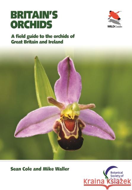 Britain's Orchids: A Field Guide to the Orchids of Great Britain and Ireland Sean Cole Michael Waller 9780691177618