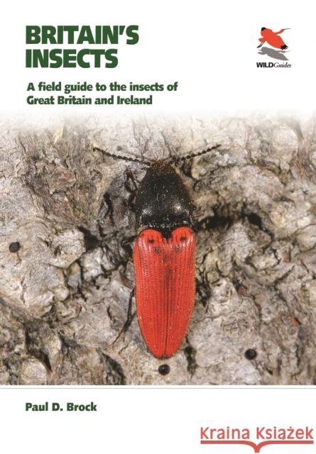 Britain's Insects: A Field Guide to the Insects of Great Britain and Ireland Paul D. Brock 9780691179278 Princeton University Press