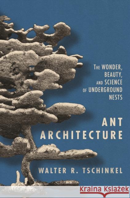 Ant Architecture: The Wonder, Beauty, and Science of Underground Nests Walter R. Tschinkel 9780691179315 Princeton University Press